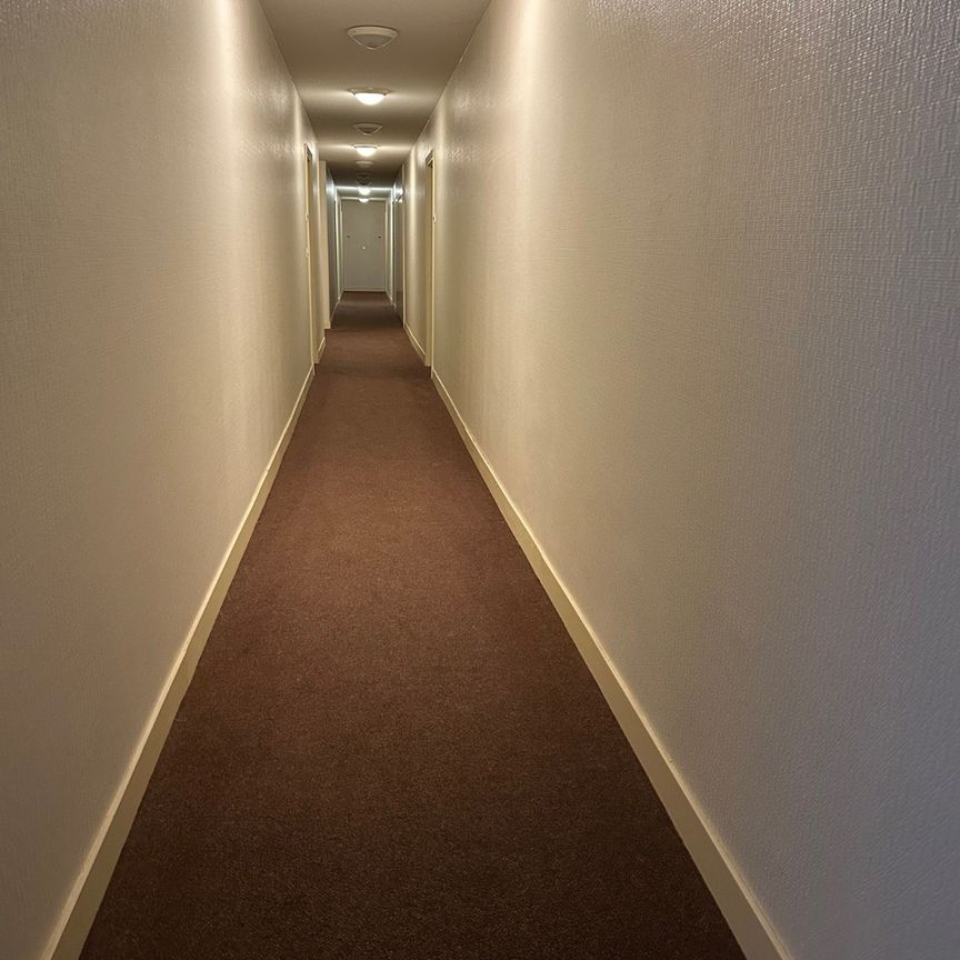 Appartement - Photo 1