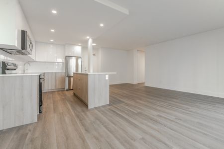 Large, Luxurious, Completely Renovated Large Two Bed Apartment in East York - Photo 4