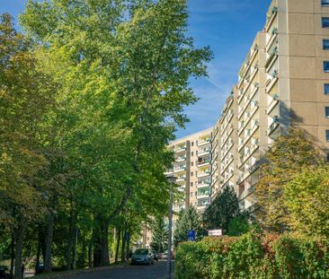 3-Raum-Wohnung mit Balkon und einen Spielplatz im Wohnumfeld - Photo 1