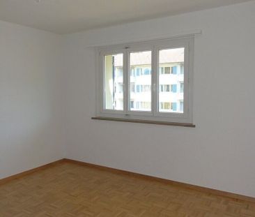 Living in the Sonnenfeld - Photo 1