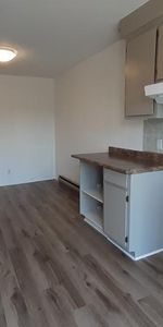 N-Rosemont Près Anjou/St.Léonard 4.5 au 2e Étage Triplex - Photo 3