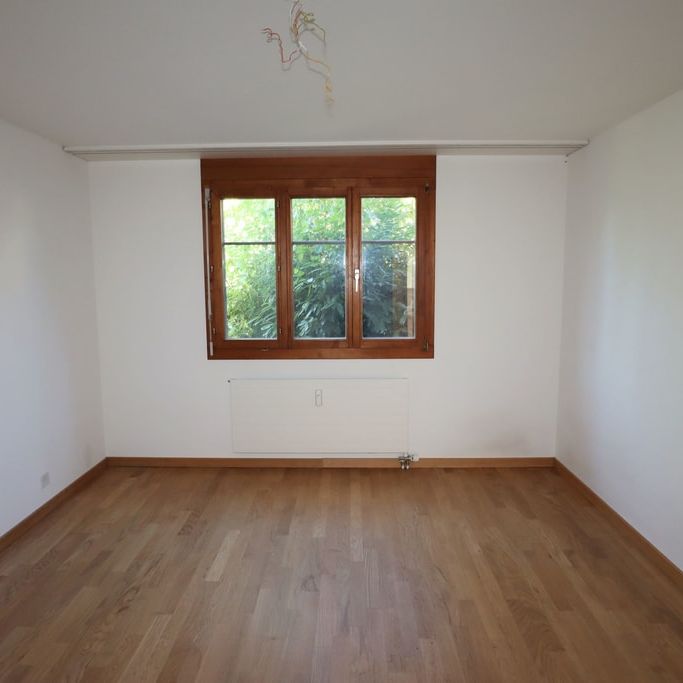 3.5 Zimmer, 82 m², EG - Foto 1