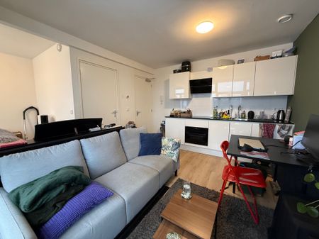 Tuinbouwstraat, Noorderplantsoenbuurt, Oranjewijk, Oude wijken, Groningen, Nederland, 9717 JJ, Nederland - Foto 4