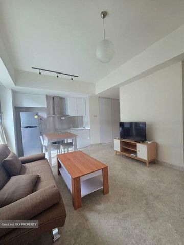 Park Infinia At Wee Nam (D11), Condominium - For Rent - Photo 4