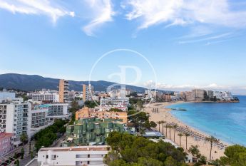 Luxury Studio for Rent in Magaluf