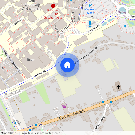 Tweekleinewegenstraat 101 / B, 3001 Heverlee