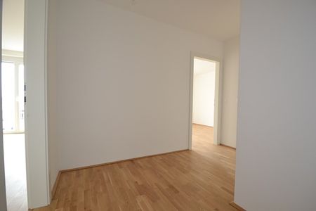 Annenviertel / Zentrum – 55 m² – großer Südbalkon – 2 Zimmer – Schlossbergblick – ab sofort - Photo 5