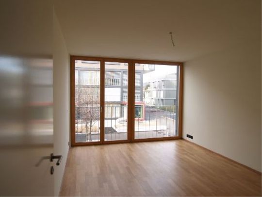 3.5 Zimmer, 101 m², 5. Stock - Foto 1