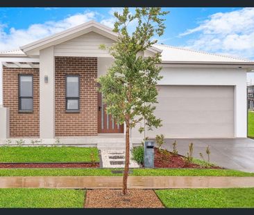 7 Shorthorn Street, Wilton - Photo 3