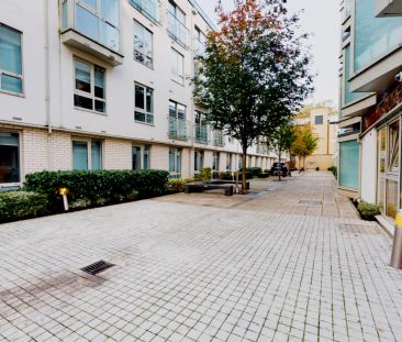 Bronze Studio Plus - Photo 5