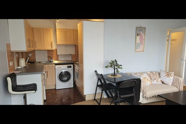 Studio Flat, Kersfield House, SW15 - Photo 1