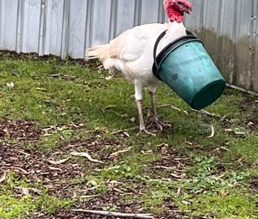 Martins Creek - Photo 6