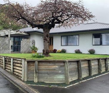 Large Family Home - Photo 3