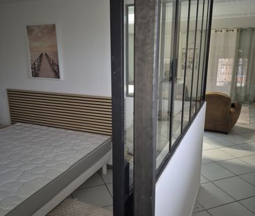 Location Appartement 1 pièce 55m² MONTAUBAN 82000 - Photo 3