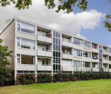 Eisenhowerlaan 3527 HG Utrecht - Photo 1