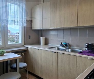 Łódź, Polesie, Karolew Mieszkanie na wynajem - Zdjęcie 6