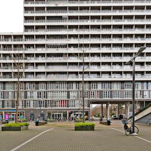 Professor de Moorplein, 340 - Photo 3