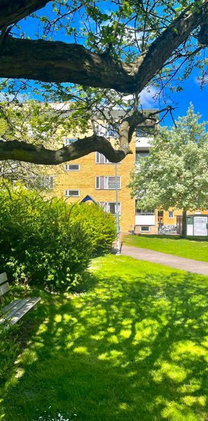 Hospitalsgatan, Norrköping - Foto 1