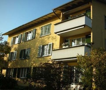 befristet in Höngg wohnen bis 30.09.2026 - Photo 2