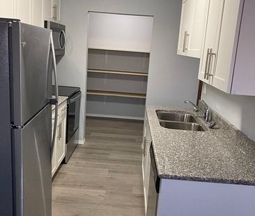 NEWLY RENOVATED Condo Suites (Kid-Friendly) – Available NOW - Photo 4