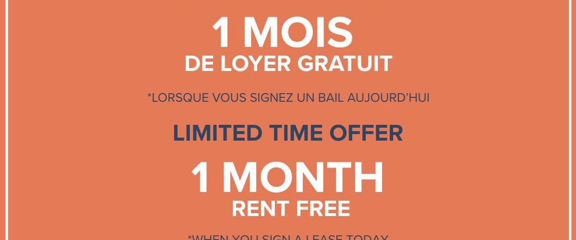Bachelor Available At 1350 Du Fort Street, Montreal - 1350 Du Fort Street, Montréal - Photo 1
