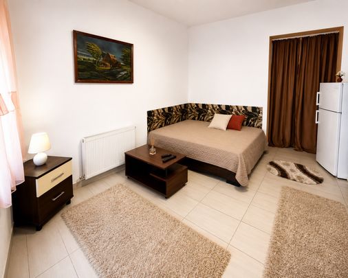 Apartament cu o cameră Traian - Photo 1