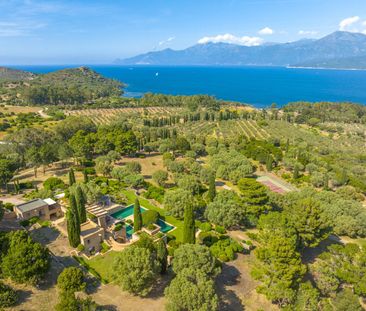 Rental Property Saint-Florent 10 Rooms 600 m² - Photo 6