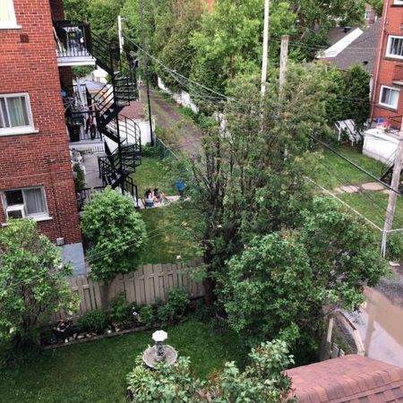 4 ½ Rosemont (Montréal), Rénové, eau chaude inclus, Esp. Lav & Sech, Libre juillet - Photo 3