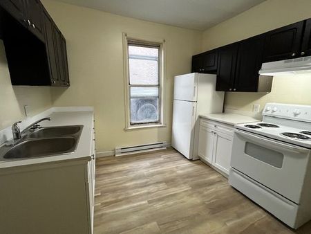 For Lease - 209 Stewart Street, Peterborough, Ontario - Photo 4