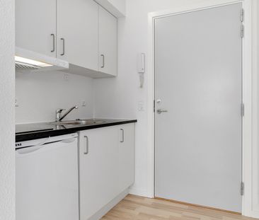 Skøn og lys lejlighed Viborgs hjerte - Photo 3