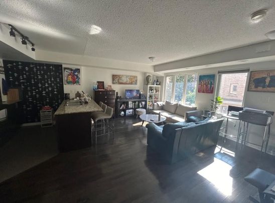 For Lease - 12 Foundry Avenue Unit# 244, Toronto, Ontario - Photo 1