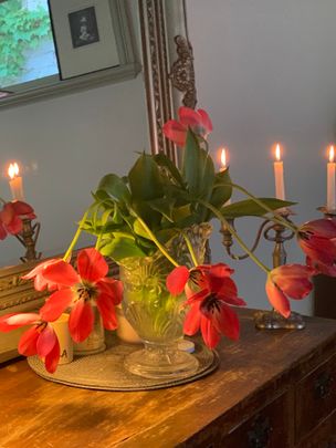 Albert Park - Photo 1