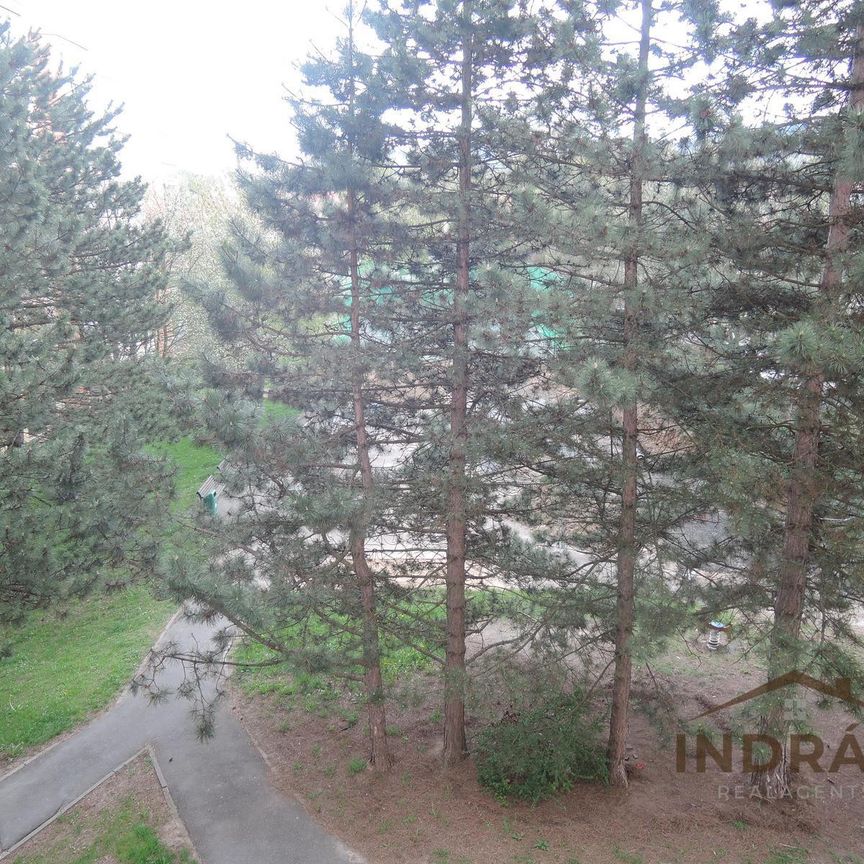 Pronájem bytu 2+1 44 m² - Photo 1