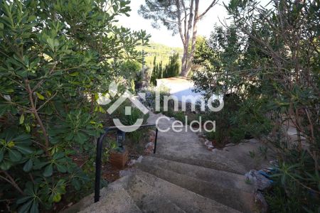 Chiva - Photo 2
