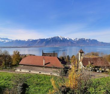 Magnifique 1.5 de 31 m2 - Photo 1