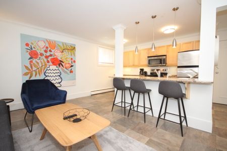 Edmonton Furnished Condo Rental in Oliver - Trendy 1 Bedroom In Oliver - Photo 4