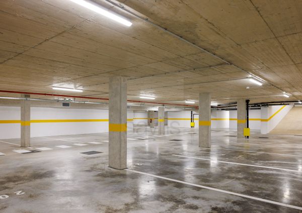 T1 FACTORY - The Garden (Jardins da Efanor)