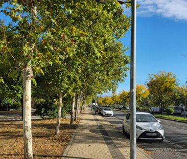 Piso de alquiler en Paseo de Europa, 9, Vega de la Moraleja - Photo 6