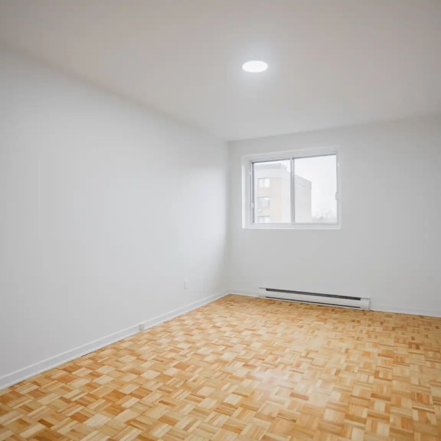 2705 MODUGNO — 3.5 - Photo 1