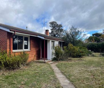 17 Dooring Street, Dickson ACT 2602 - House For Rent | Domain - Photo 2
