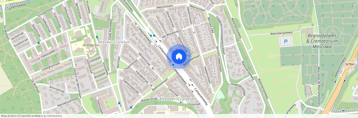 Alteveer/Cranevelt, 6815 BL, Beethovenlaan, Arnhem