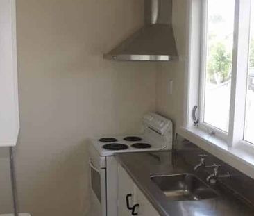 Tidy two bedroom unit in Akina. - Photo 1