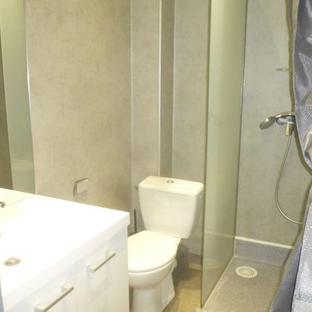 Location Appartement 1 pièce 29m² LE PUY EN VELAY 43000 - Photo 4