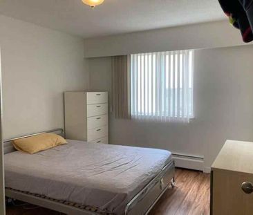 1165 West 13th Avenue apartment — Vancouver, BC (1-Bedroom) - 1 Bed... - Photo 4