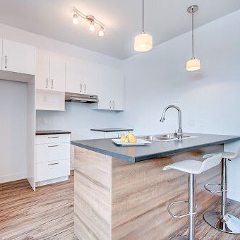 209 Rue Du Pirée (Plateau) Magnifique Logement 3,5 Dans Un Secteur Calme - Photo 1
