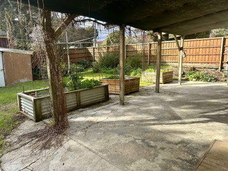 12 Hallam Street Flora Hill VIC - Photo 4