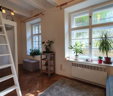 Pronájem bytu 1+kk v osobním vlastnictví 24 m², Praha 6 - Střešovice - Photo 5