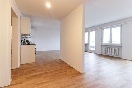 Grosse 4.5 Zimmer-Attikawohnung am Musical Theater - Foto 4