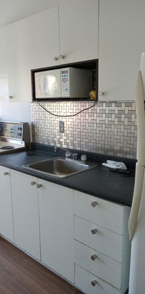 Plateau - 4 1/2 Sur Saint-Denis - Photo 1