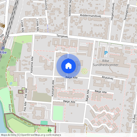 Bøge Alle 4L, 2. th., 6760 Ribe